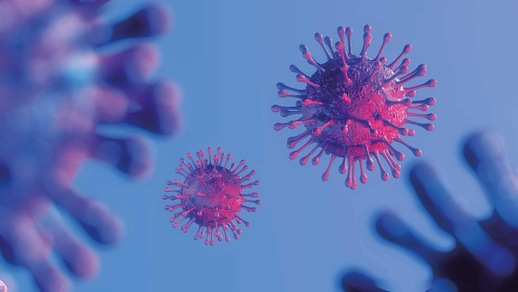 Das Anhaften von SARS-CoV-2 an den Schleimhautzellen wird durch Algenpolysaccharide erschwert.  © Shutterstock