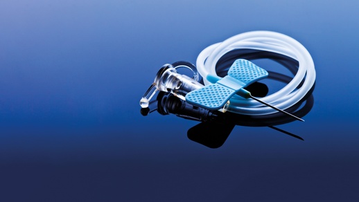 Schmetterling © iStock