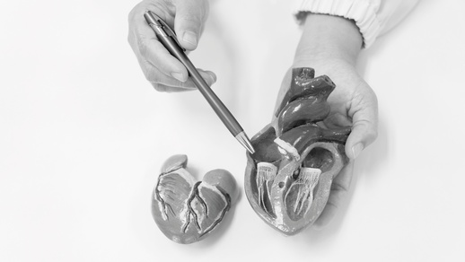 Herz © Shutterstock