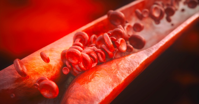 Cholesterin © Shutterstock