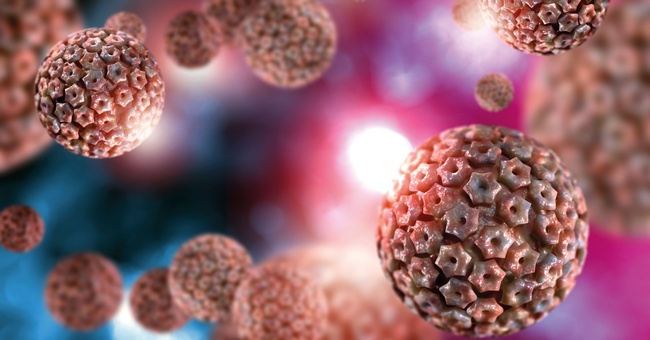 Herpes © Shutterstock