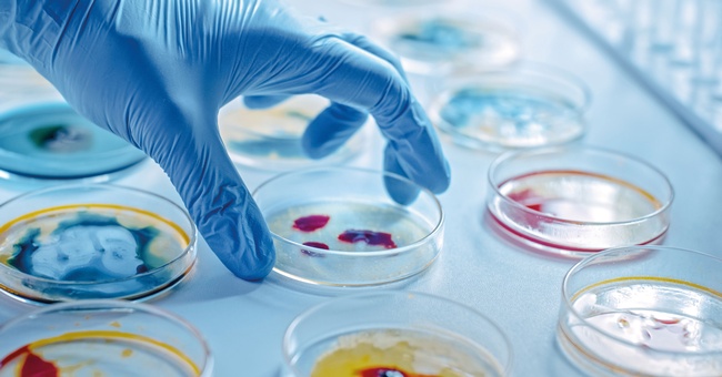 Themenbild Laborexperiment © Shutterstock