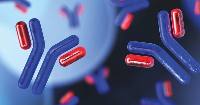 Monoklonale Antikörper © Shutterstock