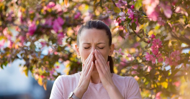 Themenbild Allergie © Shutterstock