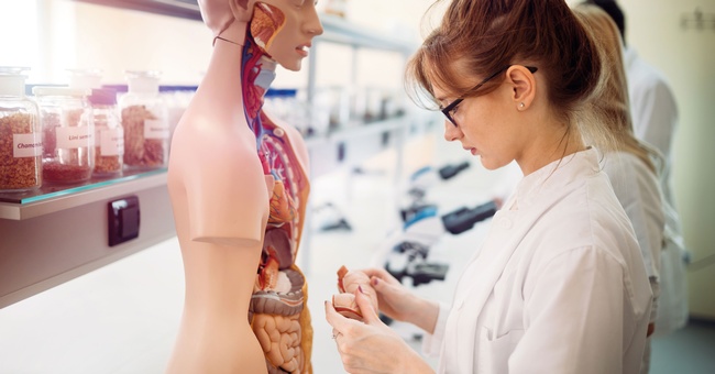 Werden Studierende nur anhand männlicher Anatomie unterrichtet, habe das laut den Forscherinnen Einfluss auf die Behandlung von Frauen. © Shutterstock