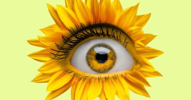 Auge © Shutterstock