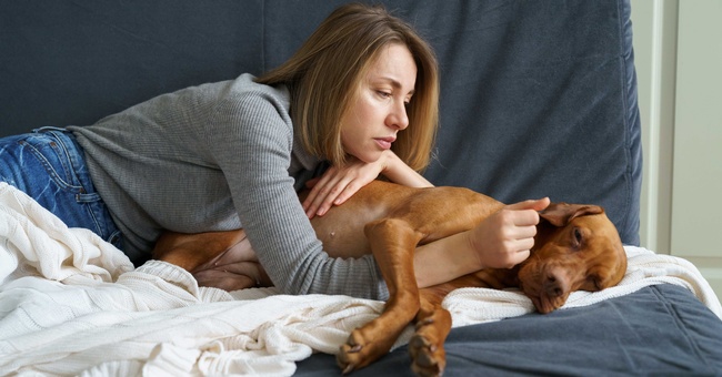 Kranker Hund © Shutterstock