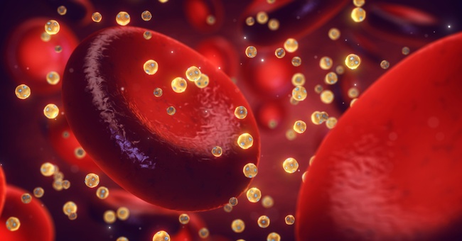 Lipoproteine © Shutterstock