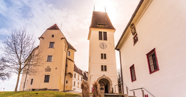 Seggauer Fortbildungstage © Beigestellt