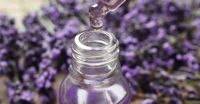 Lavendel © Shutterstock