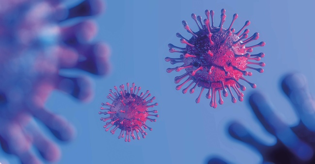 Das Anhaften von SARS-CoV-2 an den Schleimhautzellen wird durch Algenpolysaccharide erschwert.  © Shutterstock