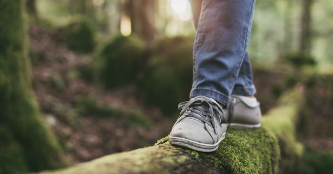 Person blanciert auf einem umgefallenen Baumstamm im Wald. © Shutterstock