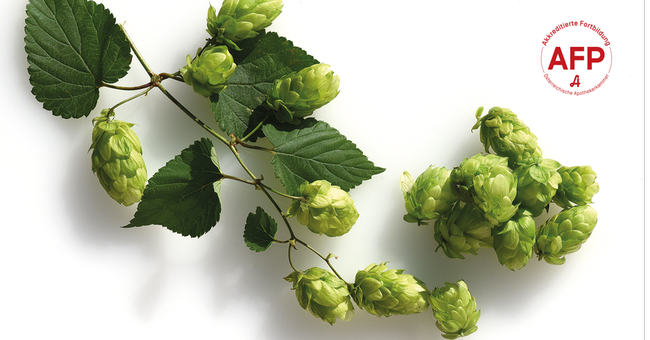 Hopfen &copy; Shutterstock