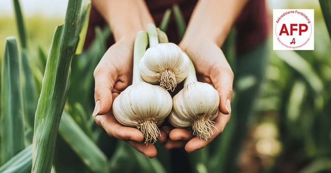Knoblauch © Shutterstock/APOVERLAG