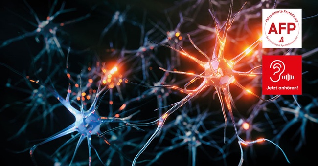 NeuamMarkt © Shutterstock/APOVERLAG