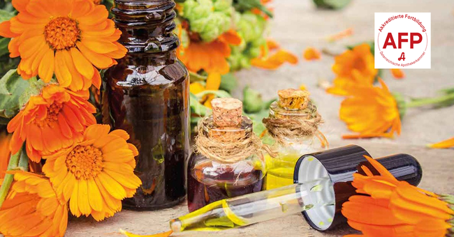 Ringelblume © Shutterstock/APOVERLAG