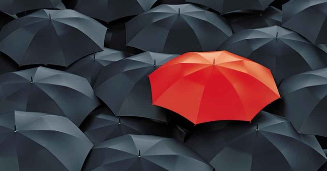 Regenschirm © Shutterstock
