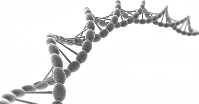 DNA © Shutterstock