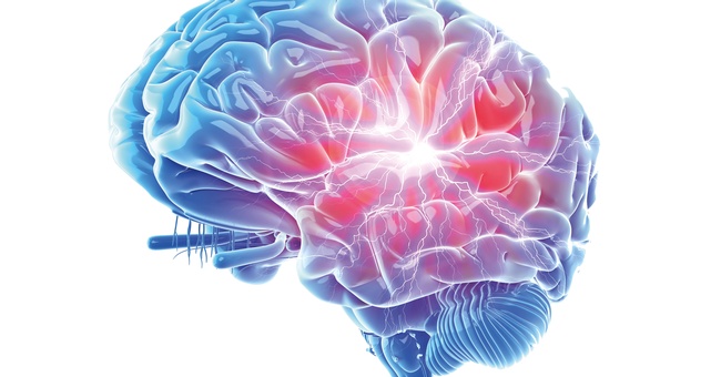 Gehirn © Shutterstock