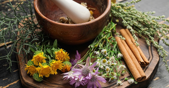 Arzneipflanzen © shutterstock
