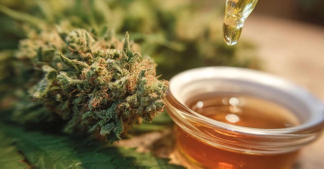 AdobeStock &copy; AdobeStock