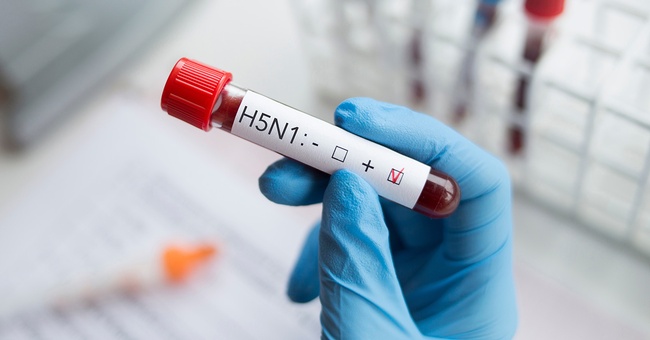 H5N1 © Shutterstock