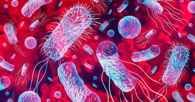 Listerien © Shutterstock