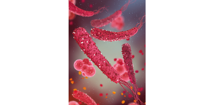 Helicobacter © Shutterstock