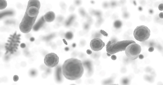 Mikrobiom © Shutterstock