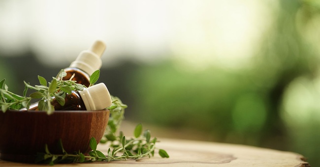 Phyto © Shutterstock
