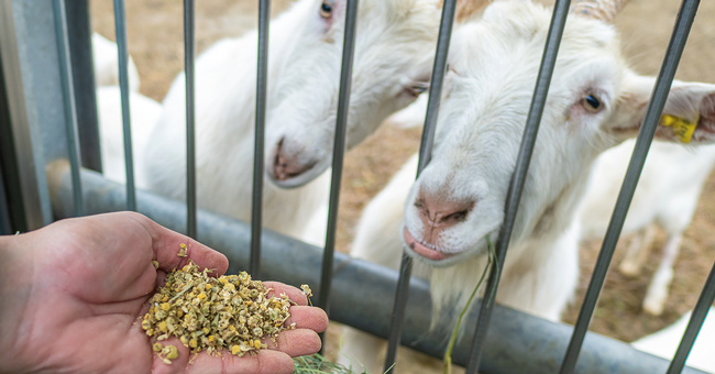  Vetmeduni Vienna &copy;  Vetmeduni Vienna