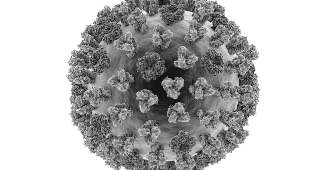 Virus © Shutterstock