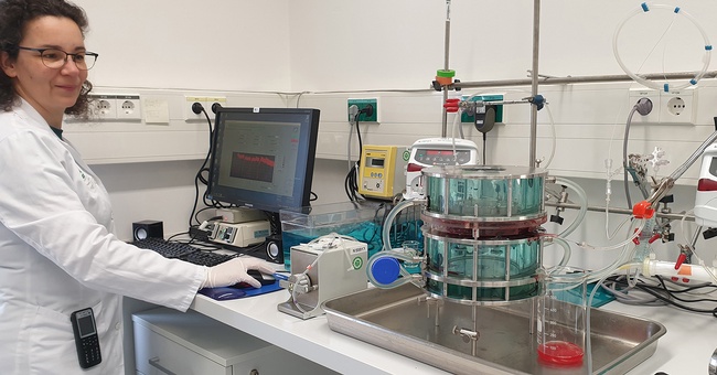 Birgit Hirschmugl bei der Arbeit im Labor. © Med Uni Graz
