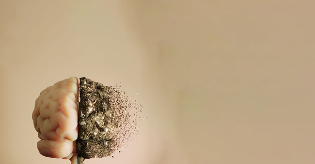 Gehirn &copy; iStock