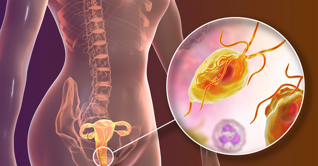 Animation &copy; shutterstock