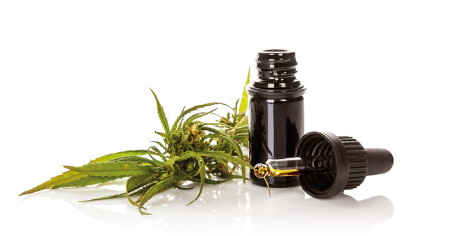 Angesichts der unzureichenden Studienlage pl&auml;dieren Forscher:innen f&uuml;r qualitativ hochwertige Untersuchungen mit l&auml;ngerer Laufzeit. &copy; Shutterstock