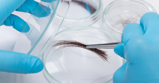 Haarprobe &copy; shutterstock