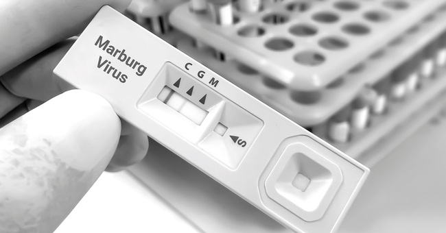 Virustest © Shutterstock