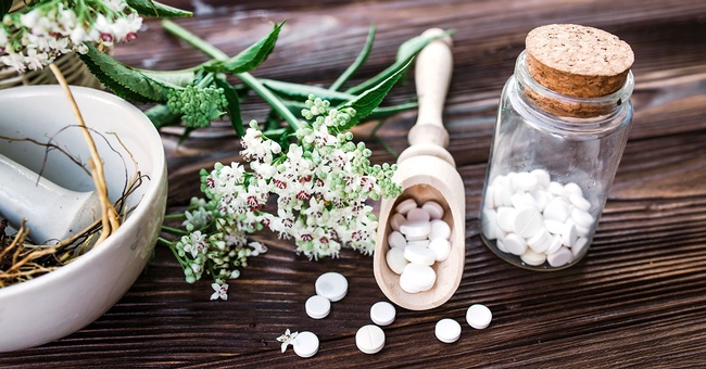 Pflanzlich &copy; Shutterstock