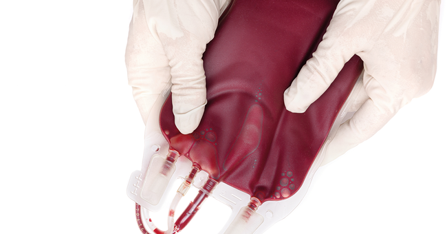 Blut © Shutterstock