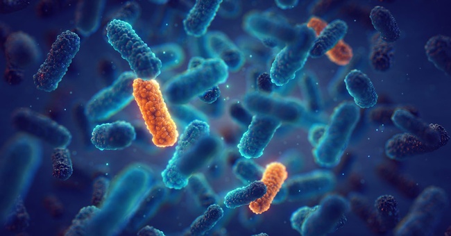 Antibiotikaresistenz  © Shutterstock