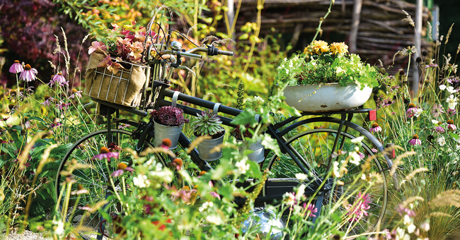 Beim Gesundheitstag der Apotheker:innen standen die Themen Gesundheitsvorsorge und Heilpflanzen im Mittelpunkt. © Shutterstock