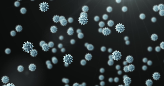 shutterstock &copy; shutterstock