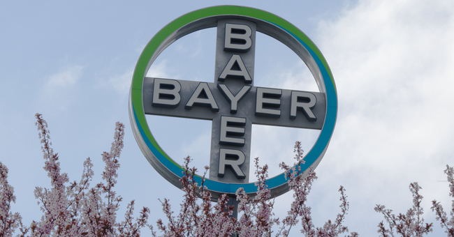 Bayer © Shutterstock/Below the Sky