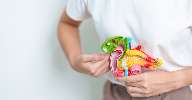 Bauchspeicheldrüse © Shutterstock