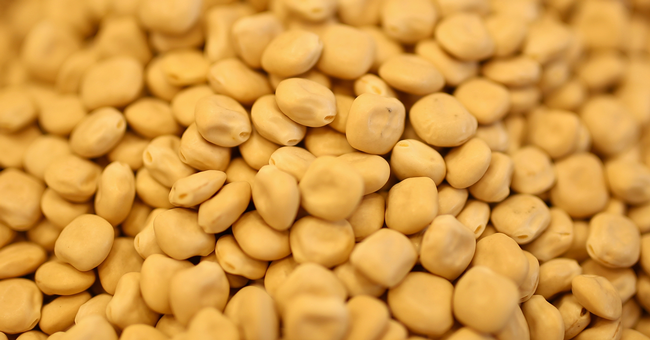 © Shutterstock Lupinen © Shutterstock