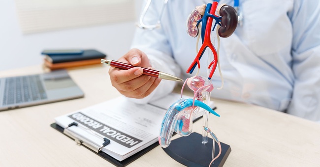 Prostatakarzinom © Shutterstock
