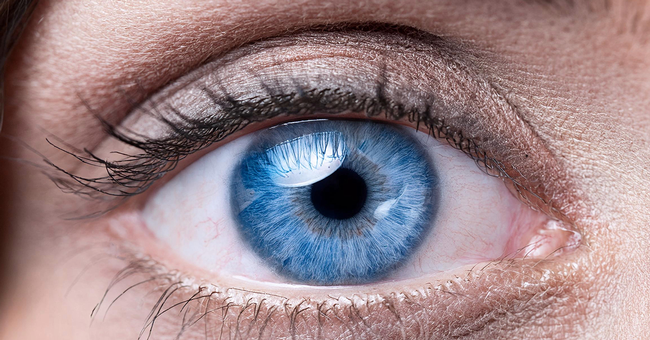 Auge © Shutterstock