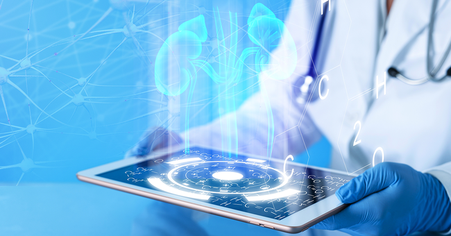 KI erkennt Organschäden an Niere © Shutterstock