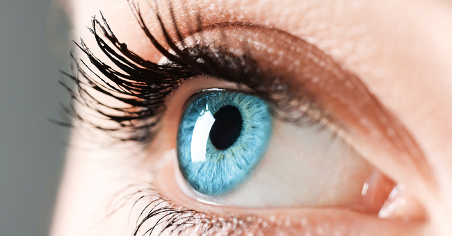 Auge © Shutterstock